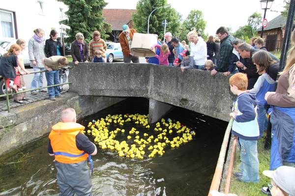 7. Brunnenfest, 19.06.2010