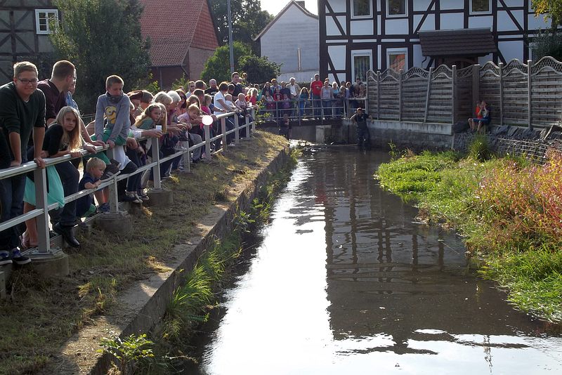 Brunnenfest 2015