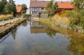 IMG_8451-Verbessert-RR.jpg