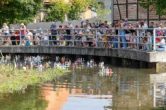 IMG_8483-Verbessert-RR.jpg
