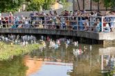 IMG_8485-Verbessert-RR.jpg