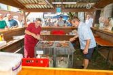IMG_8512-Verbessert-RR.jpg