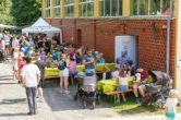 IMG_8518-Verbessert-RR.jpg