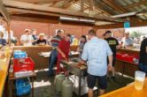IMG_8537-Verbessert-RR.jpg