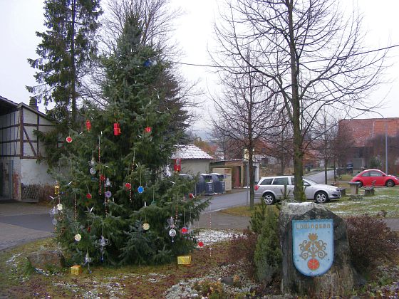 Weihnachtsbaum von Lödingsen - festlich geschmückt