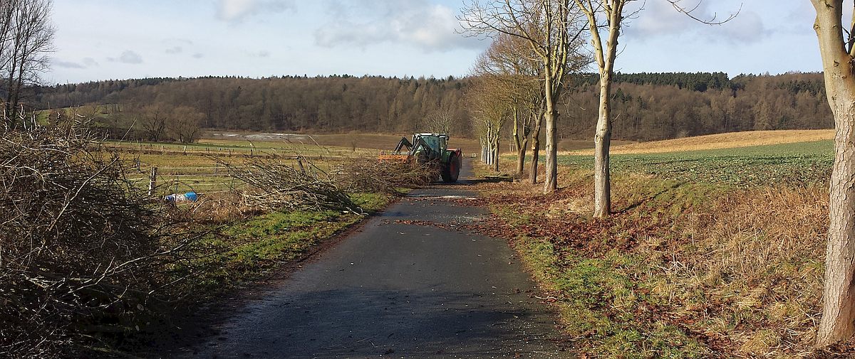 Wirtschaftsweg nach Adelebsen