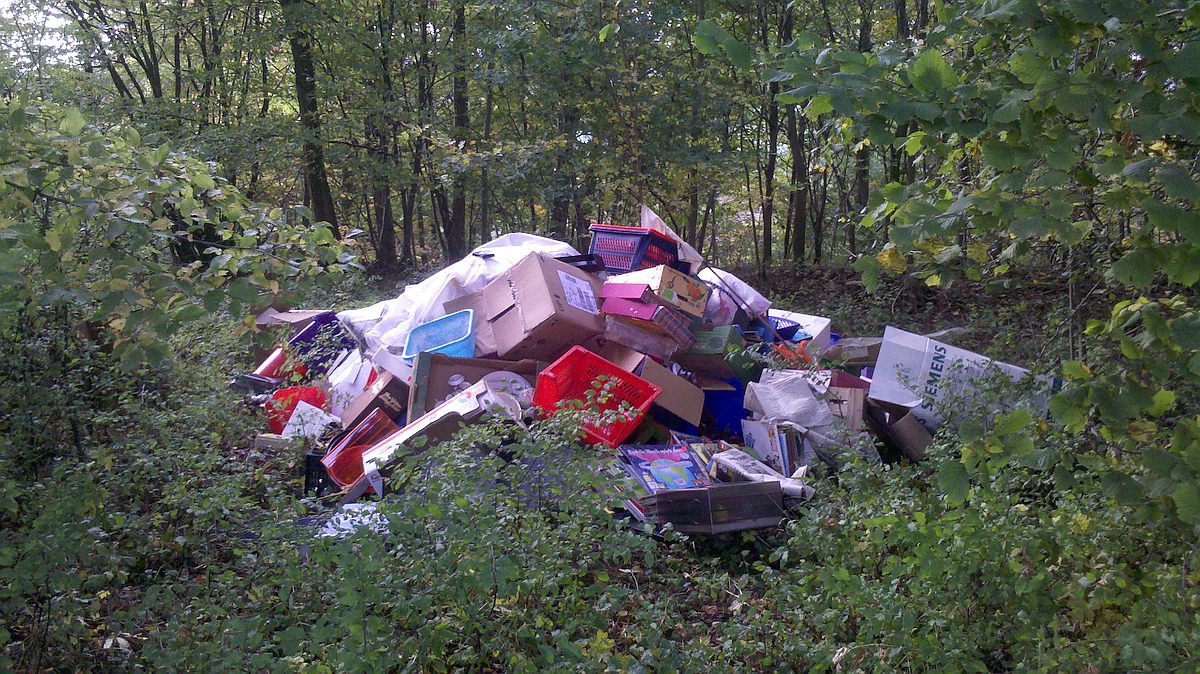 Hausmüll im Wald hnter Rodens Lust